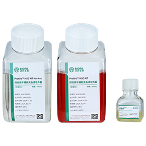 ProGro? MSC KIT間充質(zhì)干細胞無(wú)血清培養試劑盒