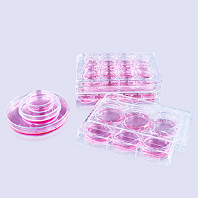 多聚-D-賴(lài)氨酸包被表面產(chǎn)品