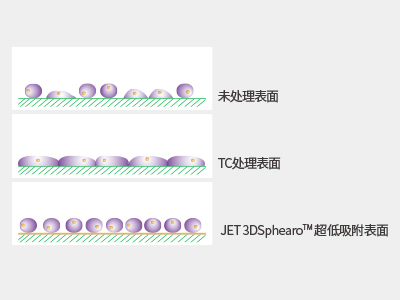 超低吸附表面具有共價(jià)結合的水凝膠層，具有極強的抗蛋白吸附性和抗細胞貼壁性，可有效抑制細胞附著(zhù)