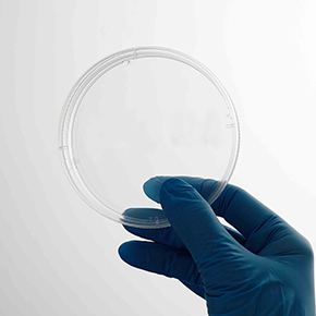 CellDETACH? 溫敏細胞培養器