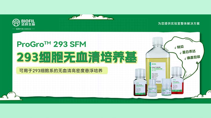 新品上線(xiàn) | 不會(huì )還有人養不好293細胞吧？！