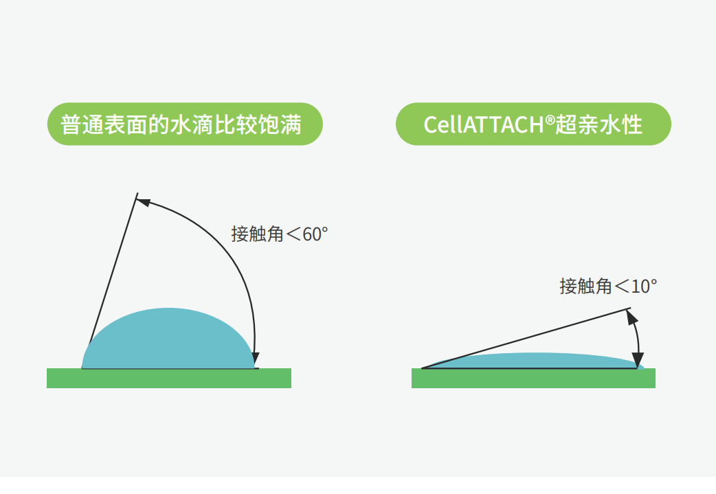 獨特的超親水表面處理技術(shù)，能為細胞提供更好的吸附性，促進(jìn)細胞快速貼壁生長(cháng)，提高產(chǎn)量