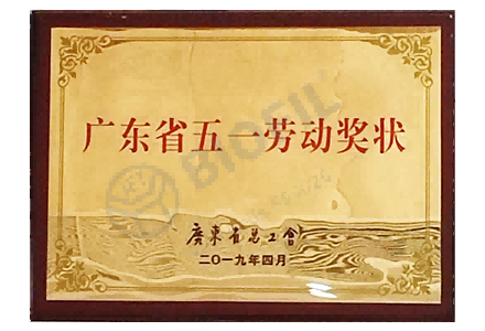 廣東省五一勞動(dòng)獎