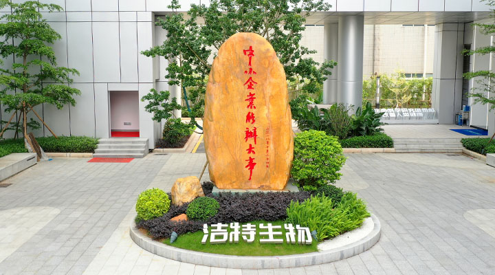 公司戰略
